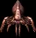 03040.webp