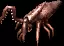 03292.webp