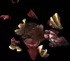 04389.webp