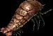 06010.webp