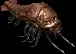 06030.webp