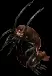 06212.webp