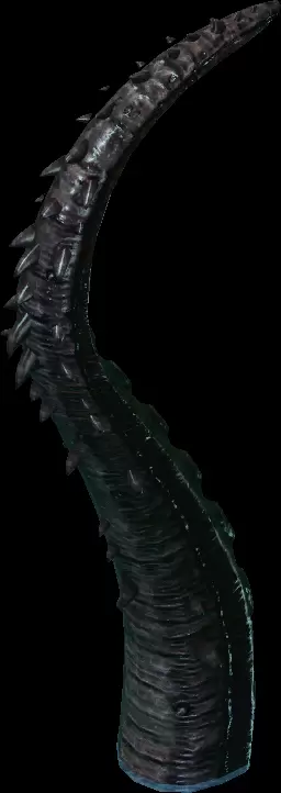 08087.webp