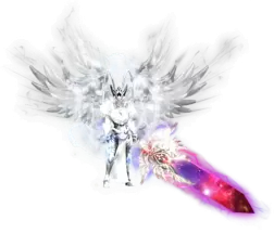 5.webp