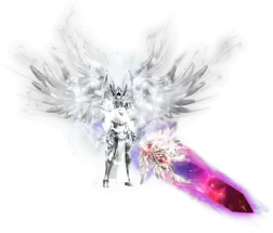 6.webp
