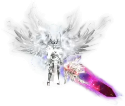 7.webp