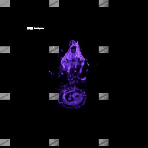 6.png