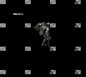 00011.webp