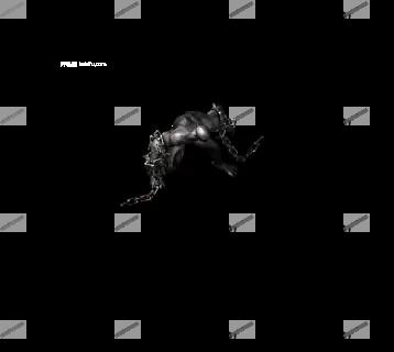 00031.webp