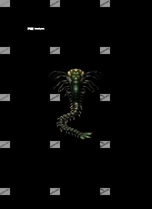 00002.webp