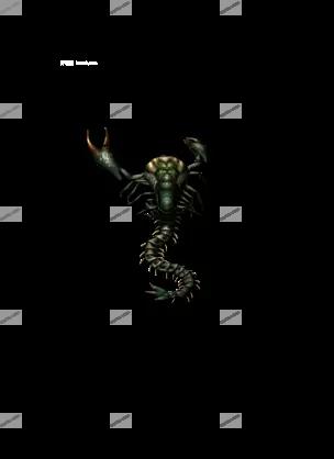00080.webp