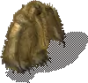 00024.webp