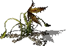 00016.webp