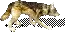 00022.webp