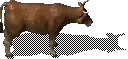 00022.webp