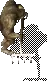 00023.webp