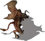 00023.webp