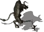 00023.webp