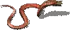 00023.webp