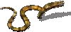 00022.webp
