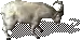 00023.webp