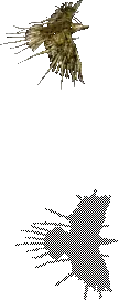 00023.webp