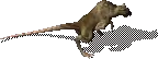 00023.webp