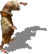 00023.webp