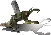 00021.webp