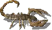 00022.webp