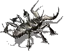 00010.webp