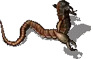 00023.webp