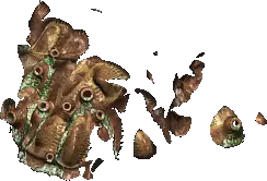 00014.webp