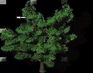00015.webp