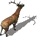 00010.webp