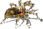 00022.webp
