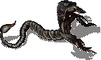00021.webp