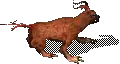 00029.webp