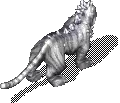 00010.webp