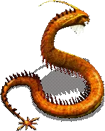 00010.webp
