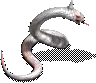 00023.webp