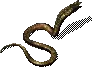 00010.webp