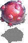 00009.webp