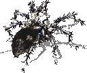 00010.webp