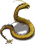 00010.webp