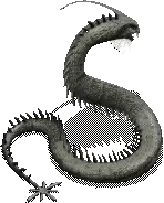 00010.webp