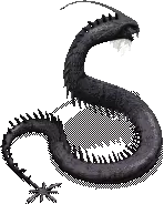 00010.webp