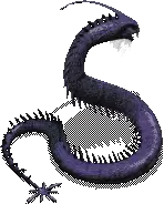 00010.webp