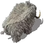 00010.webp