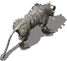 00010.webp